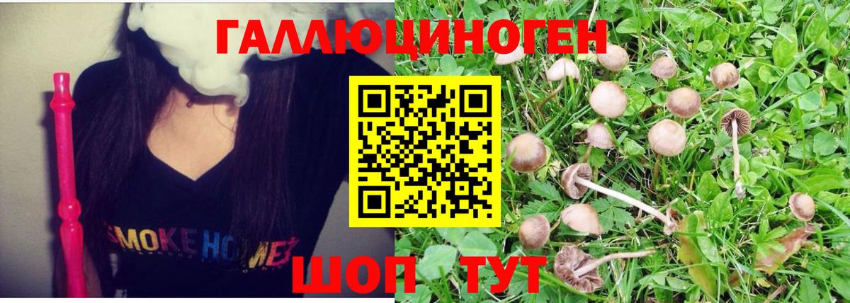 Псилоцибиновые грибы MAGIC MUSHROOMS Абакан