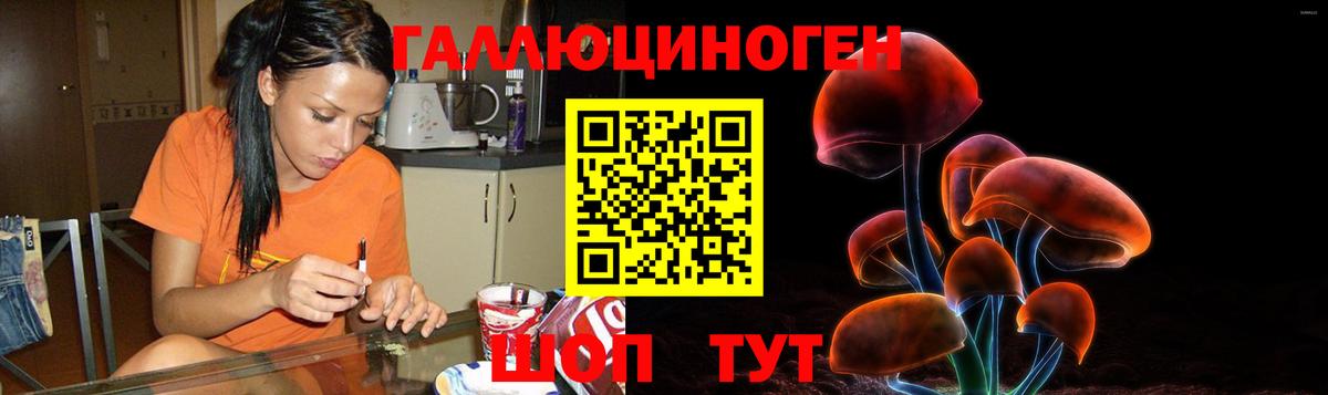 Абакан  Псилоцибиновые грибы прущие грибы  Вход с VPN 